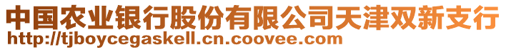 中國農(nóng)業(yè)銀行股份有限公司天津雙新支行