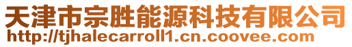 天津市宗勝能源科技有限公司