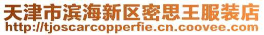 天津市濱海新區密思王服裝店