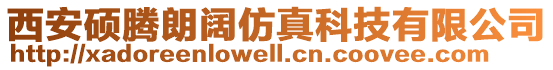 西安碩騰朗闊仿真科技有限公司