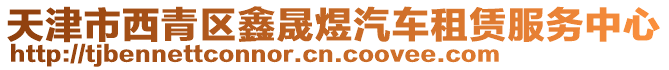 天津市西青區(qū)鑫晟煜汽車租賃服務(wù)中心