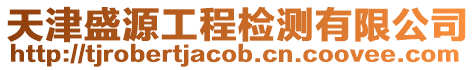 天津盛源工程檢測有限公司