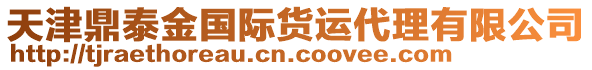 天津鼎泰金國(guó)際貨運(yùn)代理有限公司