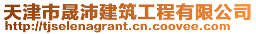 天津市晟沛建筑工程有限公司