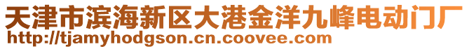 天津市濱海新區(qū)大港金洋九峰電動門廠