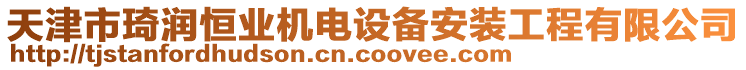 天津市琦潤恒業機電設備安裝工程有限公司