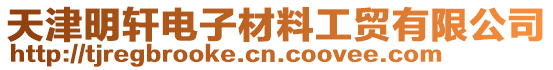 天津明軒電子材料工貿(mào)有限公司