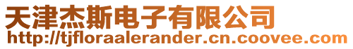 天津杰斯電子有限公司