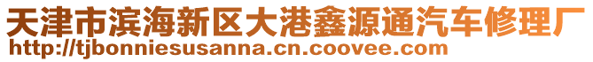 天津市濱海新區(qū)大港鑫源通汽車修理廠