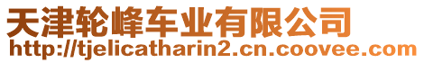 天津輪峰車業(yè)有限公司