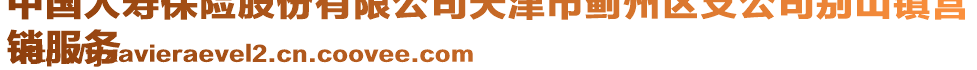 中國(guó)人壽保險(xiǎn)股份有限公司天津市薊州區(qū)支公司別山鎮(zhèn)營(yíng)
銷服務(wù)