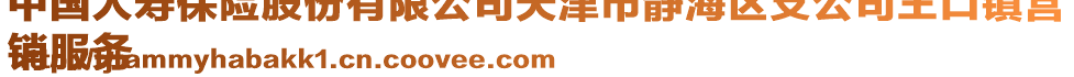 中國人壽保險股份有限公司天津市靜海區(qū)支公司王口鎮(zhèn)營
銷服務(wù)