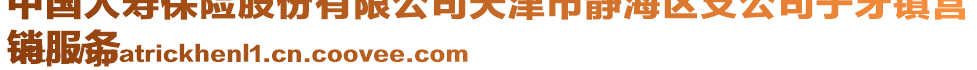 中國人壽保險股份有限公司天津市靜海區(qū)支公司子牙鎮(zhèn)營
銷服務(wù)