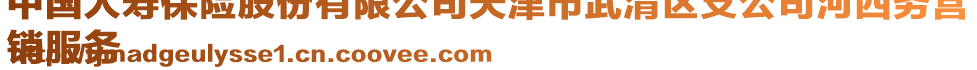 中國人壽保險股份有限公司天津市武清區(qū)支公司河西務營
銷服務