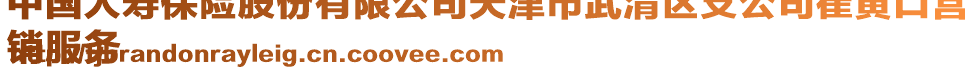 中國人壽保險(xiǎn)股份有限公司天津市武清區(qū)支公司崔黃口營
銷服務(wù)