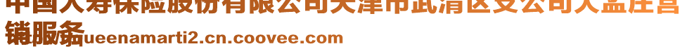 中國人壽保險股份有限公司天津市武清區支公司大孟莊營
銷服務