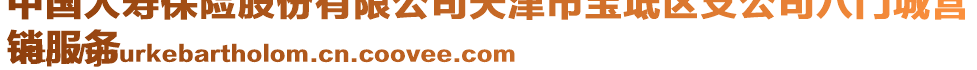 中國人壽保險股份有限公司天津市寶坻區支公司八門城營
銷服務