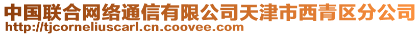 中國聯(lián)合網(wǎng)絡(luò)通信有限公司天津市西青區(qū)分公司