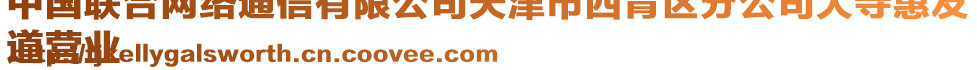 中國聯(lián)合網(wǎng)絡(luò)通信有限公司天津市西青區(qū)分公司大寺惠友
道營業(yè)