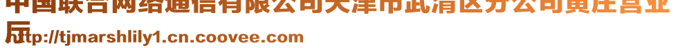 中國(guó)聯(lián)合網(wǎng)絡(luò)通信有限公司天津市武清區(qū)分公司黃莊營(yíng)業(yè)
廳