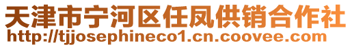 天津市寧河區(qū)任鳳供銷(xiāo)合作社