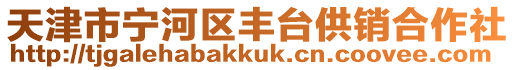 天津市寧河區豐臺供銷合作社