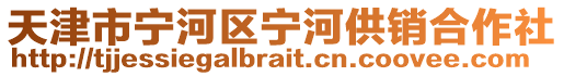 天津市寧河區(qū)寧河供銷合作社