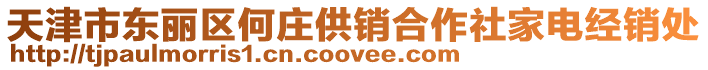 天津市東麗區(qū)何莊供銷合作社家電經(jīng)銷處