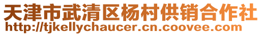 天津市武清區(qū)楊村供銷合作社