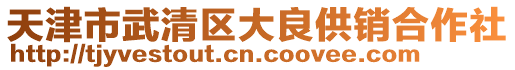 天津市武清區(qū)大良供銷合作社