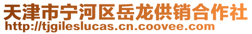 天津市寧河區(qū)岳龍供銷合作社