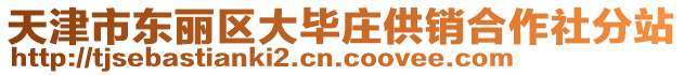 天津市東麗區(qū)大畢莊供銷合作社分站