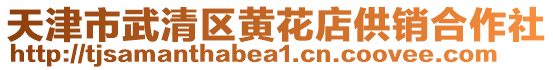 天津市武清區(qū)黃花店供銷合作社