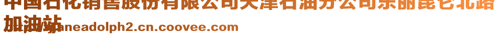中國石化銷售股份有限公司天津石油分公司東麗昆侖北路
加油站