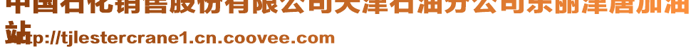 中國(guó)石化銷(xiāo)售股份有限公司天津石油分公司東麗津唐加油
站