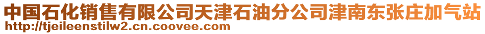 中國(guó)石化銷售有限公司天津石油分公司津南東張莊加氣站