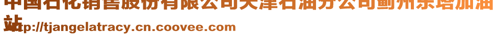 中國(guó)石化銷(xiāo)售股份有限公司天津石油分公司薊州東塔加油
站