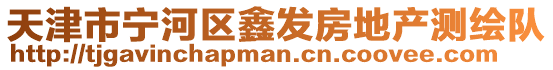 天津市寧河區(qū)鑫發(fā)房地產(chǎn)測繪隊