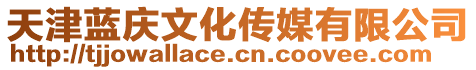 天津藍(lán)慶文化傳媒有限公司