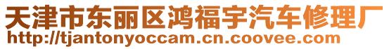 天津市東麗區(qū)鴻福宇汽車修理廠