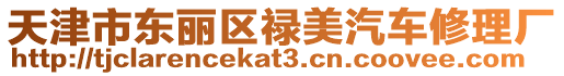 天津市東麗區(qū)祿美汽車修理廠
