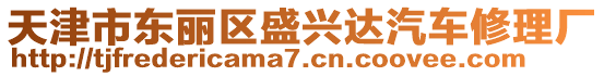 天津市東麗區(qū)盛興達(dá)汽車修理廠