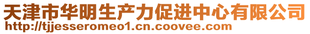 天津市華明生產力促進中心有限公司