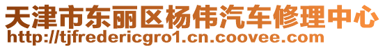 天津市東麗區(qū)楊偉汽車修理中心