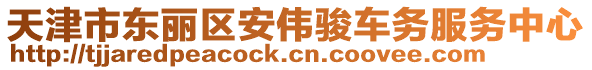 天津市東麗區(qū)安偉駿車務(wù)服務(wù)中心