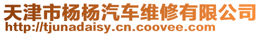 天津市楊楊汽車維修有限公司