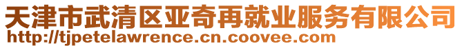 天津市武清區(qū)亞奇再就業(yè)服務(wù)有限公司