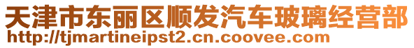 天津市東麗區(qū)順發(fā)汽車玻璃經(jīng)營部