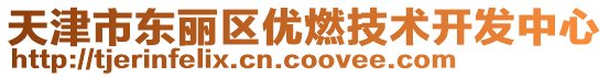 天津市東麗區優燃技術開發中心
