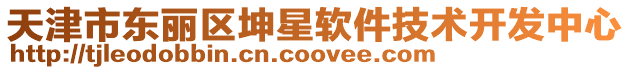 天津市東麗區坤星軟件技術開發中心